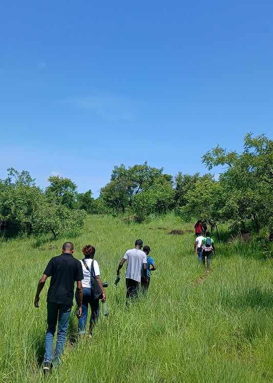 Blues, Greens, and Grief: Walking the Wild Pian Upe in Pain