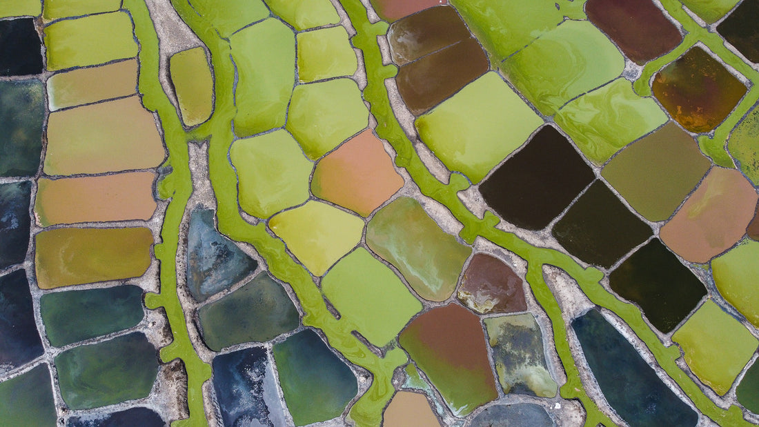 Aerial view of Lake Bunyampaka, Queen Elizabeth National Park. Captured during a June 2024 photo safari with the Wikipedia community. A quiet turning point—a reminder to return.