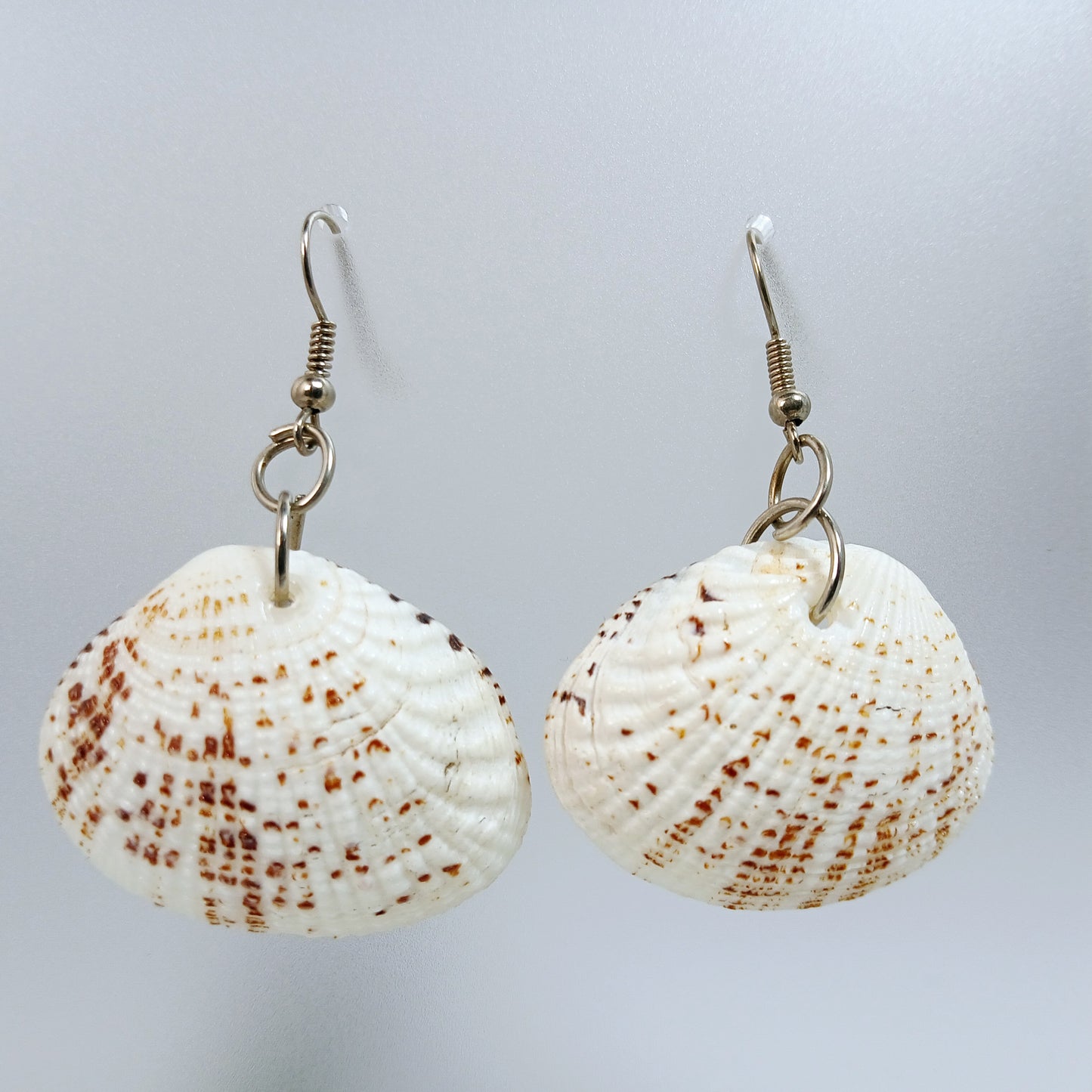 Soft white shell earrings