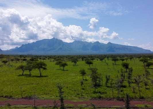 A 3-Day Journey through Mbale, Pian Upe & Sipi Falls.